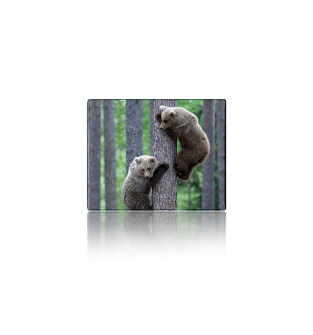 Килимок 250*300 тканинний Two Bears, з боковою прошивкою, товщина 2 мм