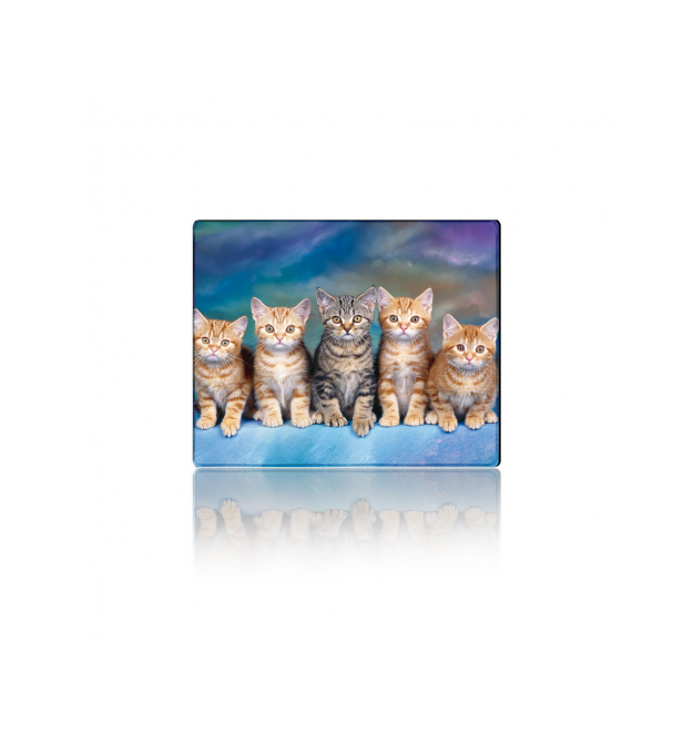 Килимок 250*300 тканинний Five Cats, з боковою прошивкою, товщина 2 мм