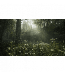 Games Software Metal Gear Solid Delta: Snake Eater Day 1 Edition [BD диск] (PS5)