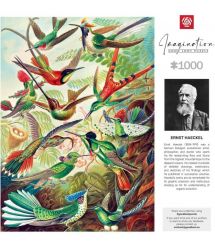 GoodLoot Пазл Imagination: Ernst Haeckel Hummingbirds/Kolibry Puzzles 1000 эл.