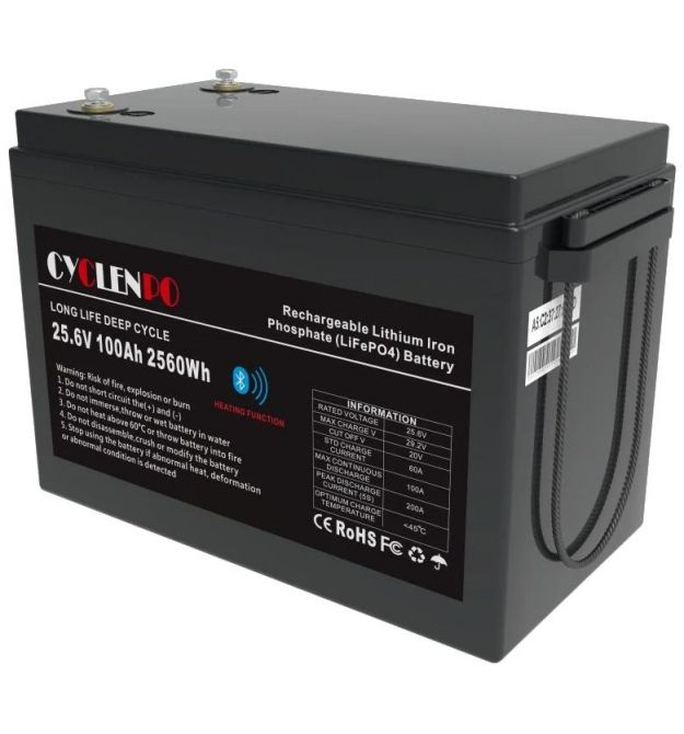 Аккумуляторная батарея Cyclen 25.6V 100AH LiFePo4