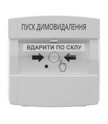 Адресна кнопка керування автоматикою DETECTO BTN 100