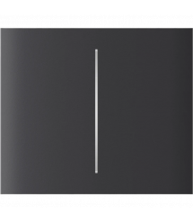 Кнопка центральная для двухклавишного выключателя Ajax CenterButton (2-gang) vertical Graphite