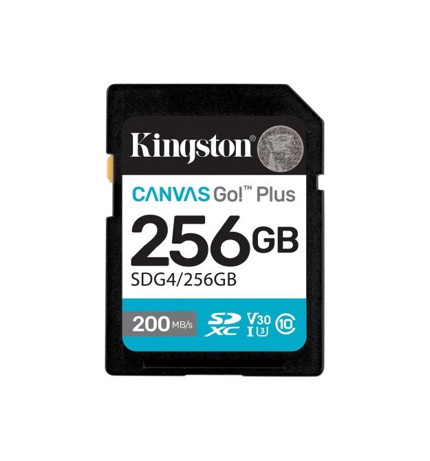 Kingston Карта памяти Kingston SD 256GB C10 UHS-I U3 V30 R200/W160MB/s