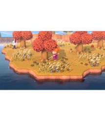 Games Software Animal Crossing: New Horizons (SWITCH)