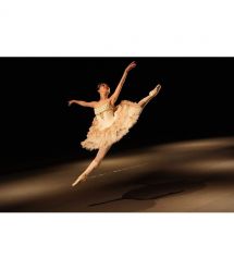 Sony Объектив 28-70mm f/2.0 GM для NEX FF