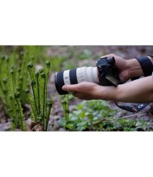 Sony Объектив 70-200mm, f/4.0 G OSS II для камер NEX FF