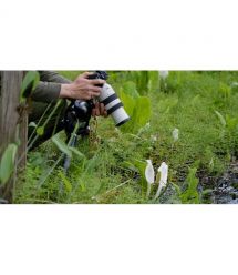 Sony Объектив 70-200mm, f/4.0 G OSS II для камер NEX FF