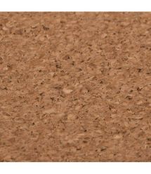 2E Коврик для мыши CORK, L(800x400x2мм), коричневий