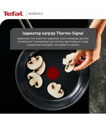 Tefal Сковорода Nordica, 20см, нержавеющая сталь