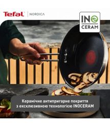 Tefal Сковорода Nordica, 20см, нержавеющая сталь