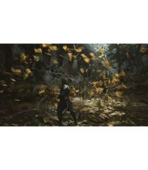Games Software Black Myth: Wukong [BD диск] (PS5)