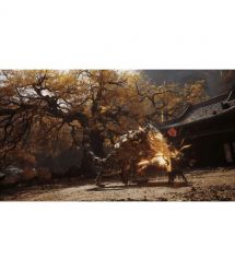 Games Software Black Myth: Wukong [BD диск] (PS5)