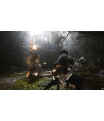 Games Software Black Myth: Wukong [BD диск] (PS5)