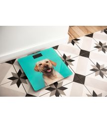 ARDESTO Весы напольные DOG, 150кг, 2хААА в компл, стекло, разноцветные