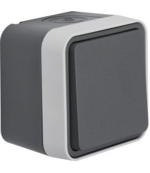 Переключатель IP55, серый, 10АX-250В W.1