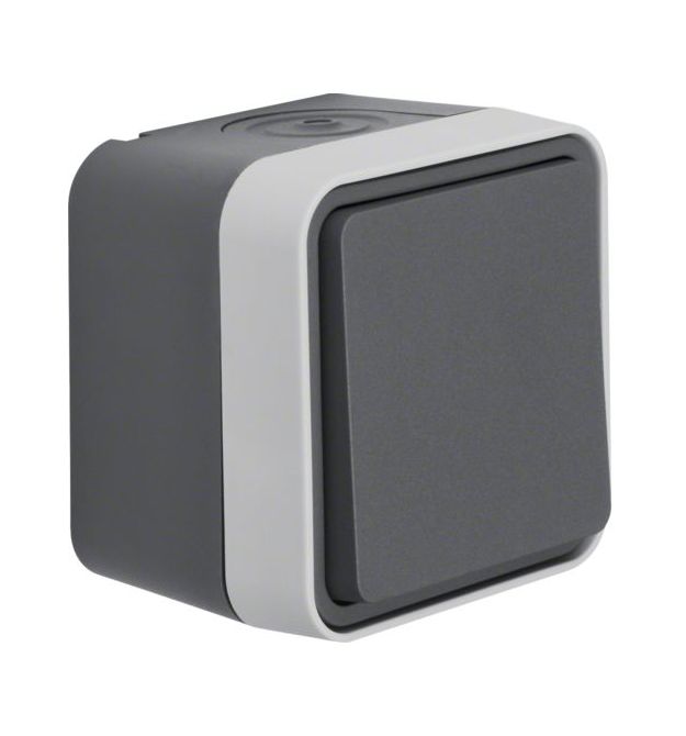 Переключатель IP55, серый, 10АX-250В W.1