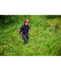 Einhell Einhell GP-BC 36/430 Li BL - Solo cordless brushless trimmer 36V (18+18) 5200rpm 7.25kg without battery and ZP