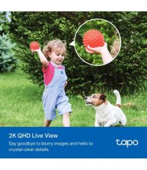 TP-Link Smart Wire-Free Security Camera and Solar Panel TAPO C425 KIT