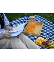 ARDESTO Плед Picnic 130х170см, 100% полиэстер, клетка синий