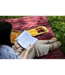 ARDESTO Плед Picnic 130х170см, 100% полиэстер, клетка красный