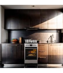 Hansa Cooker combined, 62L, 50x60cm, display, convection, cast-iron, inox