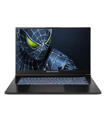 Dream Machines Notebook RG5050-17 17.3FHD IPS, Intel i9-14900HX, 32GB, F2TB, NVD5050-8, DOS, black