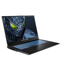 Dream Machines Notebook RG5050-17 17.3FHD IPS, Intel i9-14900HX, 32GB, F2TB, NVD5050-8, DOS, black