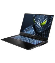 Dream Machines Notebook RG5050-17 17.3FHD IPS, Intel i9-14900HX, 32GB, F2TB, NVD5050-8, DOS, black
