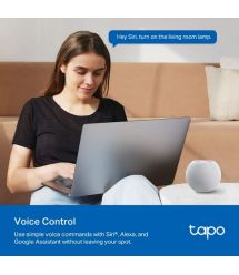 TP-Link Smart-plug micro Tapo P110M N300 BT 16A
