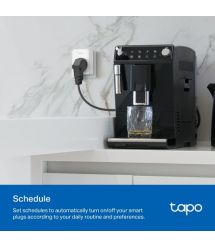 TP-Link Smart-plug micro Tapo P110M N300 BT 16A