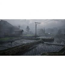 Games Software Гра консольна PS5 Silent Hill f, BD диск