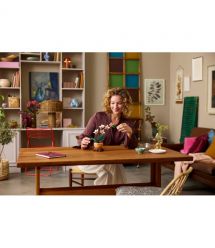 LEGO Конструктор Botanicals Мини орхидея