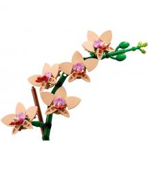 LEGO Конструктор Botanicals Мини орхидея