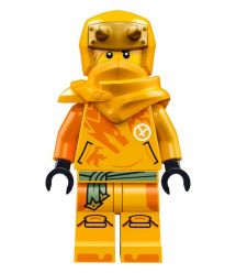 LEGO Конструктор Ninjago Молодой дракон Рию