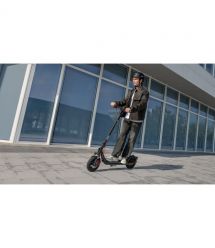 Segway Электросамокат F2 PRO E II, черный