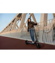 Segway Электросамокат F2 PRO E II, черный