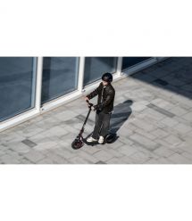 Segway Электросамокат F2 PRO E II, черный