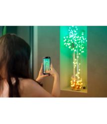 Twinkly Гирлянда Smart LED Twinkly Candies Pearl RGB 100 IP20 6м USB-C кабель зеленый