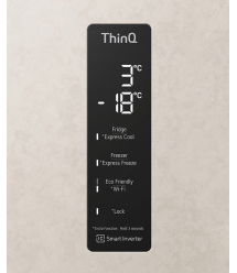 Холодильник LG GC-B509MEWM