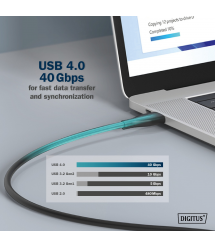 Кабель Digitus Type-C - Type-C Data/Charge, USB 3.2 Gen2, 10G, 100W, 4K, 1м, Black (AK-300342-010-S)
