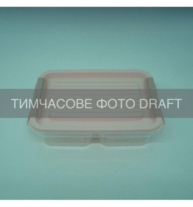 ARDESTO Контейнер двосекційний для зберігання харчових продуктів ARDESTO Fresh 2х0.25л, пластик, прямокутна, рожевий