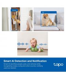 TP-Link IP-Камера Tapo C125 4MP N300 microSD motion detection, штучный интелект