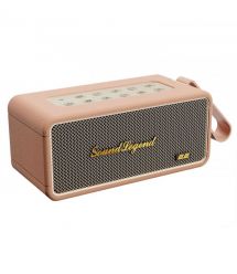2E Портативная акустическая система 2E SoundLegend 80Вт, BT 5.3, TWS, FLAC, MP3, WAV, EQ, Power Bank, IPX6, RGB, Коричневый
