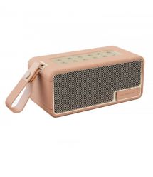 2E Портативная акустическая система 2E SoundLegend 80Вт, BT 5.3, TWS, FLAC, MP3, WAV, EQ, Power Bank, IPX6, RGB, Коричневый