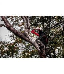 Milwaukee Пила ланцюгова акумуляторна Milwaukee M18 FCHS-0 18В шина 40см 6.4кг без АКБ та ЗП