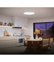 Govee Потолочный свитильник 38cm Smart Ceiling Light Pro, RGBICWW, WI-FI/Bluetooth, білий