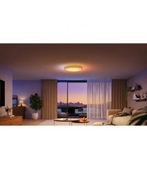 Govee Потолочный свитильник 38cm Smart Ceiling Light Pro, RGBICWW, WI-FI/Bluetooth, білий