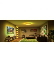 Govee Потолочный свитильник 38cm Smart Ceiling Light Pro, RGBICWW, WI-FI/Bluetooth, білий