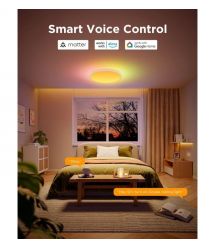 Govee Потолочный свитильник 38cm Smart Ceiling Light Pro, RGBICWW, WI-FI/Bluetooth, білий